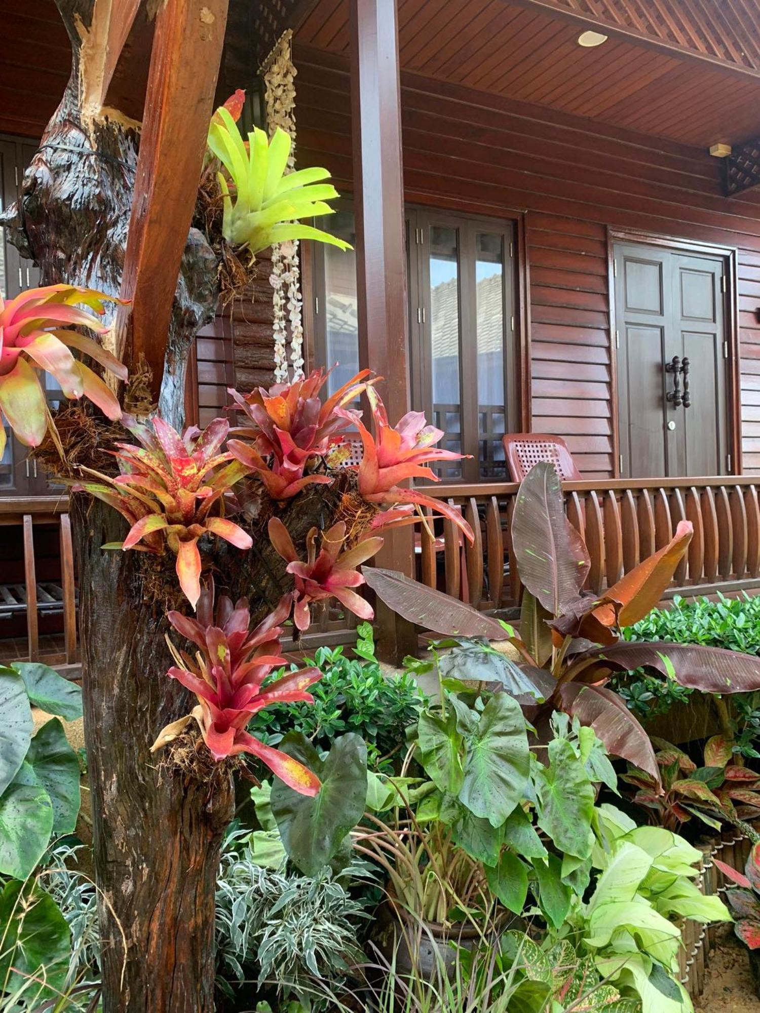 Baan Pakgasri Hideaway Hotel Ko Lanta Eksteriør billede